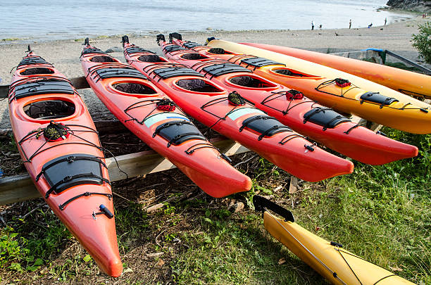 istock line up of kayaks 504341655