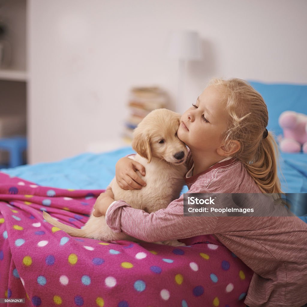 You and me are going to be together forever A cropped shot of a little girl holding her puppy while it sits on her bed Child Stock Photo