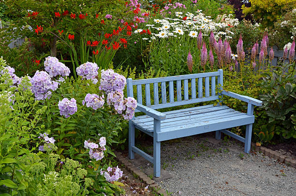 bleu banc de jardin en bois - hydrangea gardening blue ornamental garden photos et images de collection