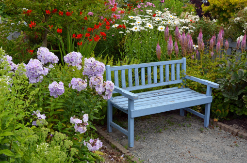 Old blue wooden garden bench in colorful summer garden