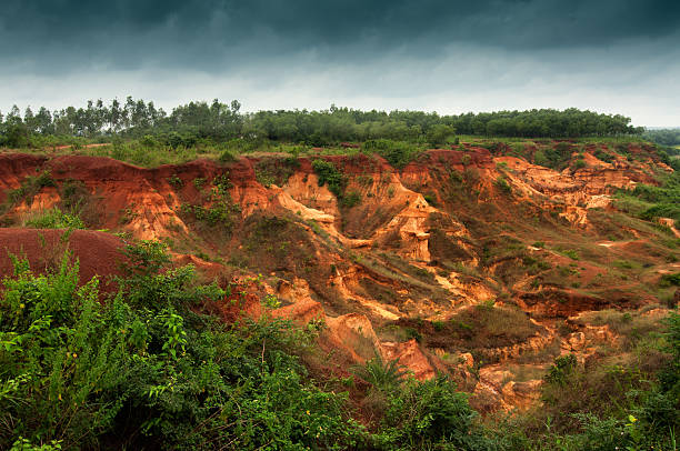 gongoni, "그랜드 캐년" 서벵골, 인도 - dry river textured effect dirt 뉴스 사진 이미지