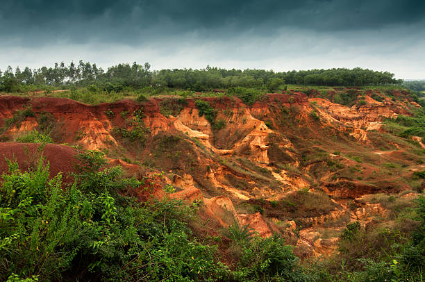 gongoni, "grand canyon" bengal zachodni w indiach - sandscape zdjęcia i obrazy z banku zdjęć