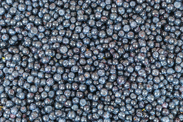 Blueberries background