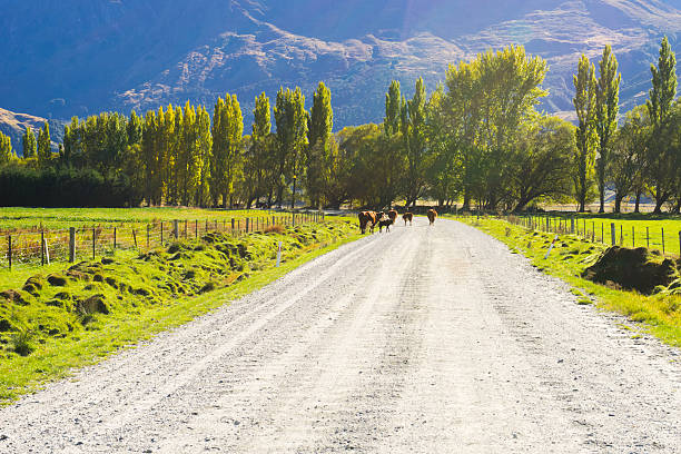 istock Picturesque landscape 504343559