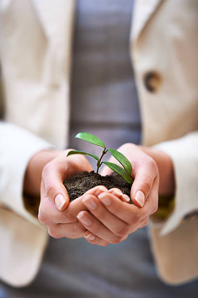 istock Building a business with strong roots 504344943
