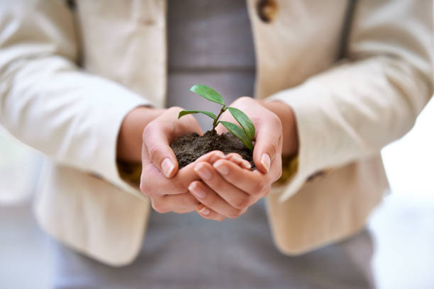istock It takes time to build a business 504344947