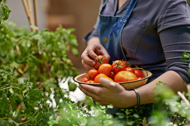 fresche dal mio giardino - women mature adult beauty beauty in nature foto e immagini stock