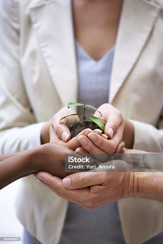 Nurturing business growth together Cropped shot of a hands holding a budding plant Adult Stock Photo