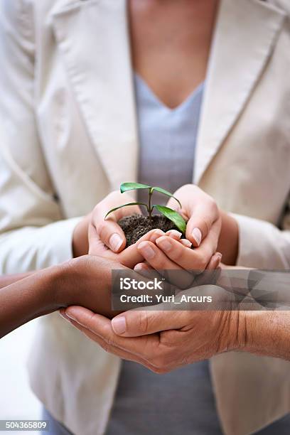 Nurturing Business Growth Together Stock Photo - Download Image Now - Adult, African Ethnicity, African-American Ethnicity