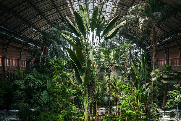 istock Tropical forest inside the railway station of Atocha 504366241