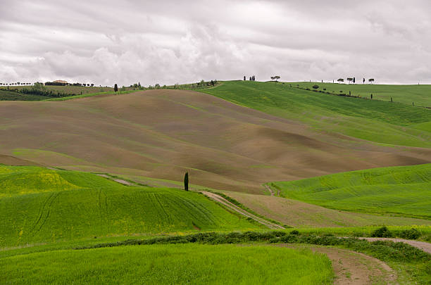 istock Landscape of Tuscany 504368509