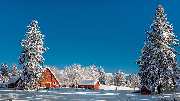istock Fresh snow blankets a country Idaho farm with red barn 504370168