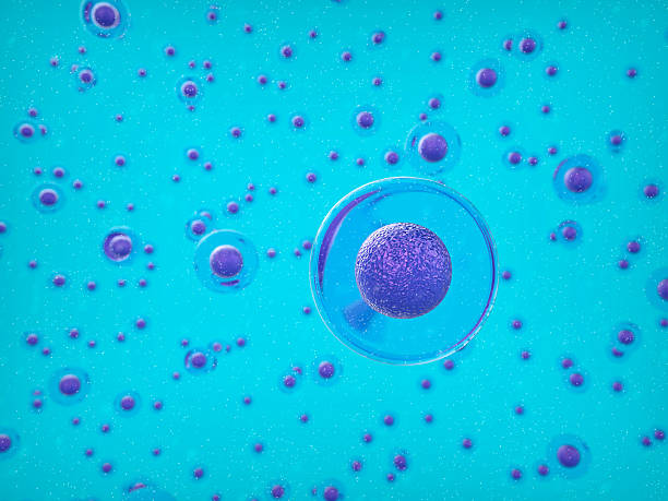 3 d fondo de célula humana - stem cell human cell animal cell science fotografías e imágenes de stock