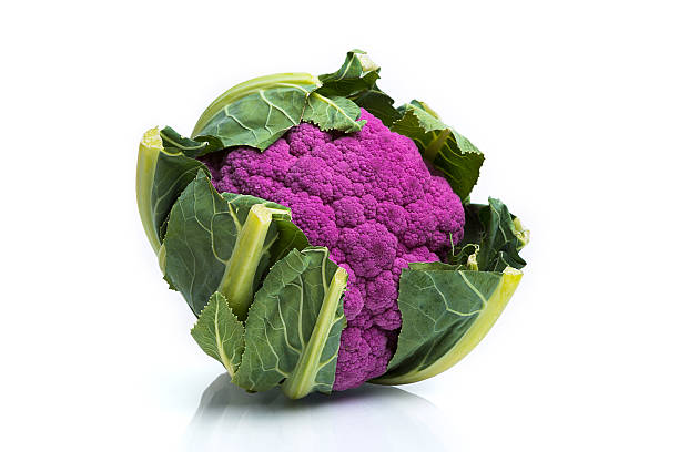 púrpura romanesco aislado sobre fondo blanco - cauliflower vegetable white isolated fotografías e imágenes de stock