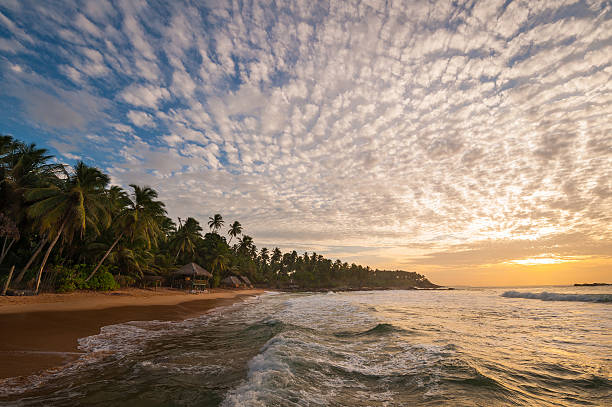 istock Tropical beach of Sri Lanka 504371769