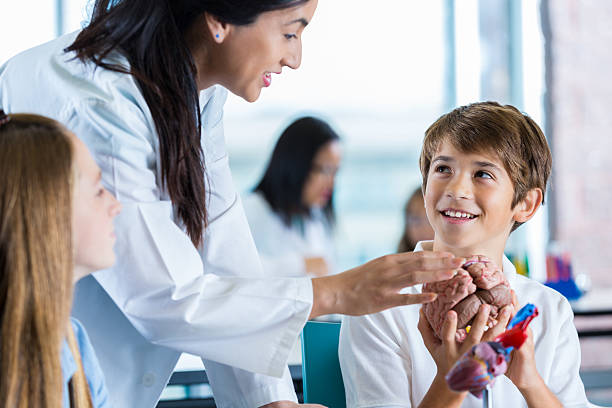 istock Science teacher using human brain model to teach preteen students 504374608