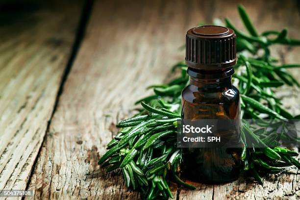 Rosemary Essential Oil In A Small Bottle And Fresh Rosemary Stock Photo - Download Image Now