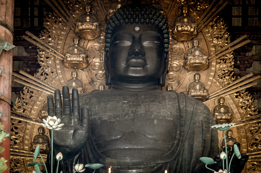 Nara, Japan - November 28, 2015: Buddha statue at the Todaji temple. Todaiji is one of Japan's most famous and historically significant temples and a landmark of Nara. The temple was constructed in 752 as the head temple of all provincial Buddhist temples of Japan and grew so powerful that the capital was moved from Nara to Nagaoka in 784 in order to lower the temple's influence on government affairs. Todaiji's main hall, the Daibutsuden (Big Buddha Hall) is the world's largest wooden building, despite the fact that the present reconstruction of 1692 is only two thirds of the original temple hall's size. The massive building houses one of Japan's largest bronze statues of Buddha (Daibutsu). The 15 meters tall, seated Buddha represents Vairocana and is flanked by two Bodhisattvas. 