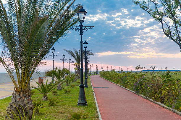 istock Sea embankment path poad palm tree sunset Sochi Russia 504378018