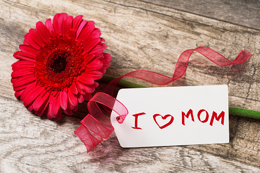 Gerbera with card on wooden background