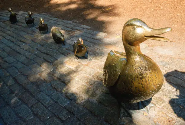 Photo of Boston Common