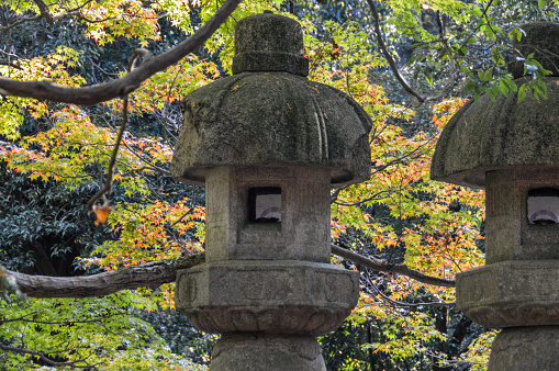 Nara, Japan - November 28, 2015: Japanese stone lanterns in Nara Park which lead to the Kasuga Shrine. Kasuga Grand Shrine is a Shinto shrine in the city of Nara, in Nara Prefecture, Japan. Established in 768 AD and rebuilt several times over the centuries, it is the shrine of the Fujiwara family.