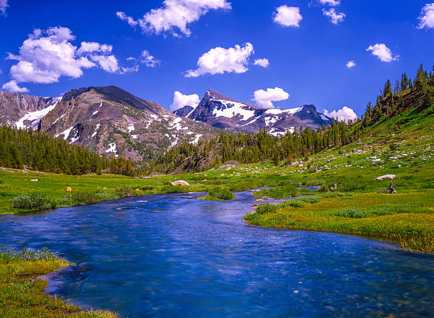 istock Tuolumne Meadows in Yosemite National Park 504380176