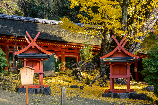Nara, Japan - November 28, 2015: Kasuga Grand Shrine is a Shinto shrine in the city of Nara, in Nara Prefecture, Japan. Established in 768 AD and rebuilt several times over the centuries, it is the shrine of the Fujiwara family.