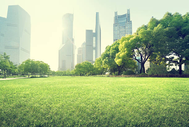 istock park in lujiazui financial centre, Shanghai, China 504382532