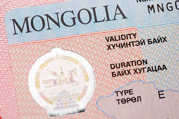 istock Fragment of the Mongolian tourist entry visa. 504385714