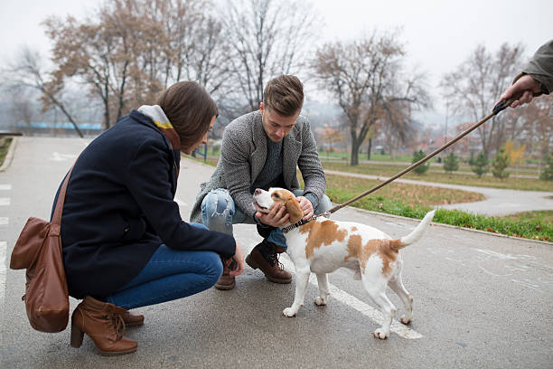 istock Beautiful couple with the dog 504385964