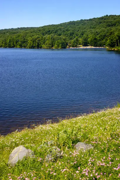 Photo of Cunningham Falls State Park