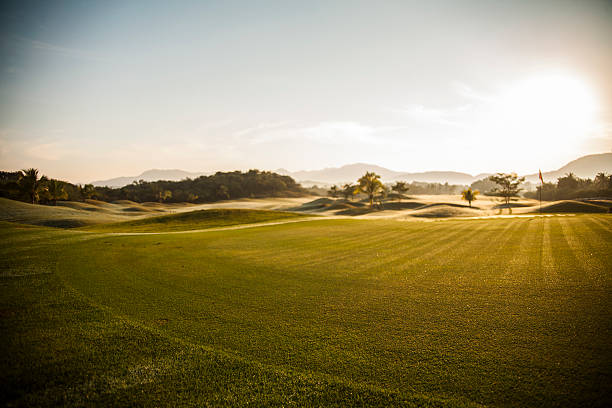 Landscape of Golf Course, Ixtapa stock photo