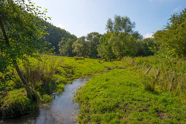 istock Stream meandering through a hilly landscape 504399211