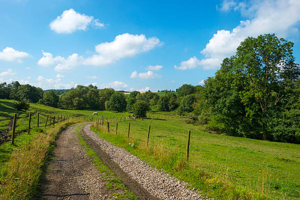 istock Footpath through meadow and trees in summer 504399909