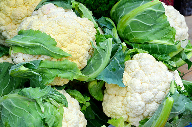 istock Big and fresh cauliflowers 504400331