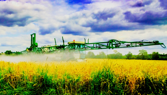crop spraying in a wheat field