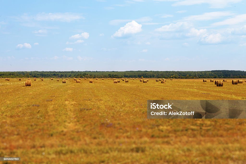 Stubble Field full of Hay Bales Above Stock Photo