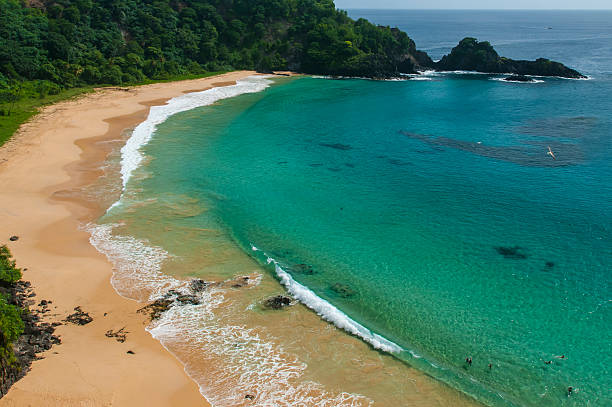 istock Fernando de Noronha - Brazil 504404281