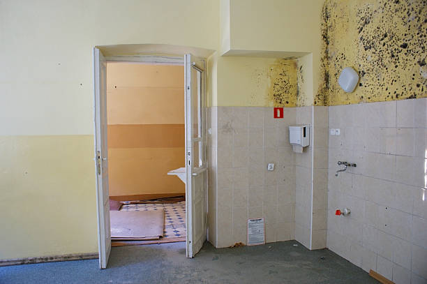 istock Interior of old house 504404497