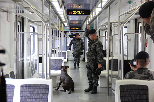 Rio de Janeiro, Brazil, 11th January 2016: BAC-Action Battalion with Dogs conducts training against terrorism for the Olympic Games Rio 2016. The BAC dogs are trained to identify weapons, drugs and explosives in different situations. BAC dogs trained at the Central do Brasil railway station