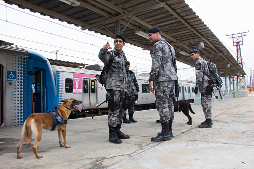 Rio de Janeiro, Brazil, 11th January 2016: BAC-Action Battalion with Dogs conducts training against terrorism for the Olympic Games Rio 2016. The BAC dogs are trained to identify weapons, drugs and explosives in different situations. BAC dogs trained at the Central do Brasil railway station