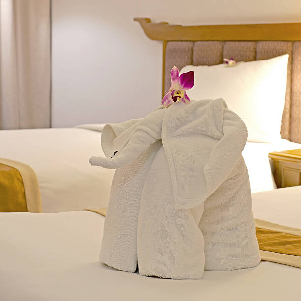 istock elephant shaped of towel 504414964