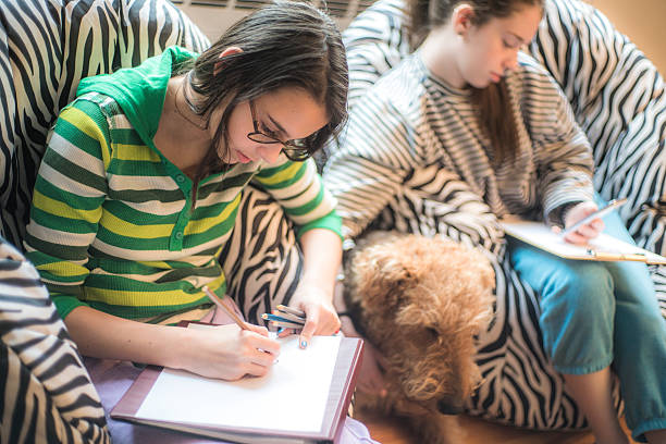 istock Two sisters drawing in the living room 504415226