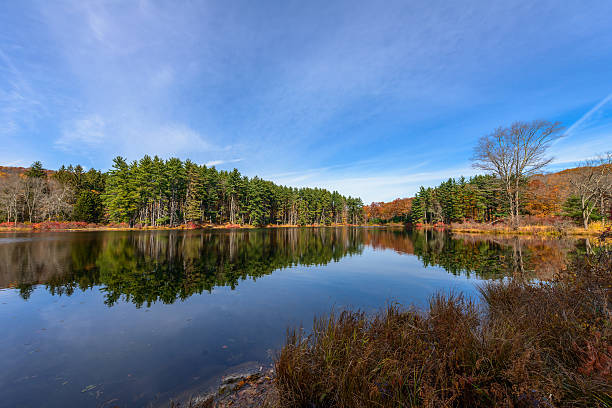 istock Reflection,Lake Nawahunta New Jersey 504416340
