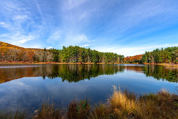 istock Reflection,Lake Nawahunta New Jersey 504416478