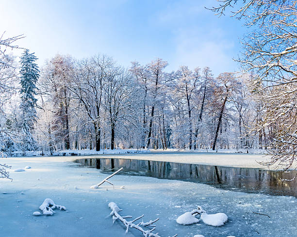 istock Beautiful park on a sunny snow cold day 504416794