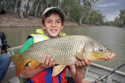 A digital SLR photograph of a young boy holding a European carp (fish) that he caught in a river in New South Wales, Australia.