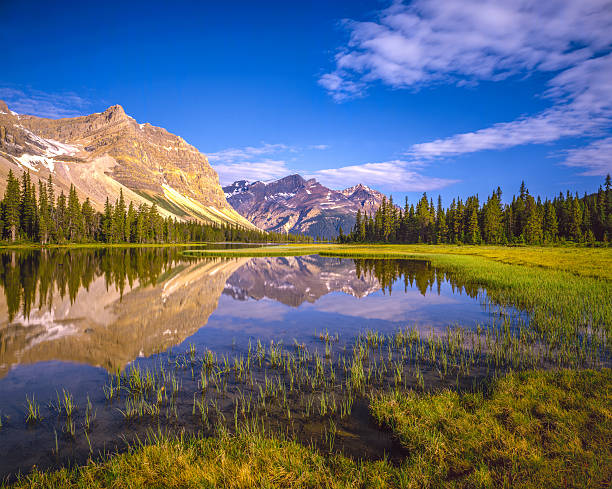 istock Alpine lake in Banff National Park, Alberta Canada 504419204