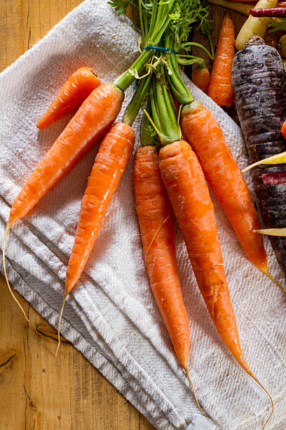 Carrots stock photo